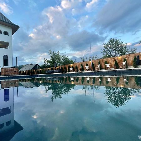 Pensiunea Maramures Guesthouse Вишово-Нижнє Екстер'єр фото