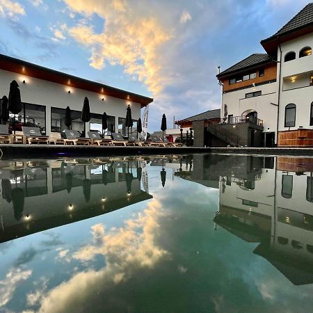 Pensiunea Maramures Guesthouse Вишово-Нижнє Екстер'єр фото