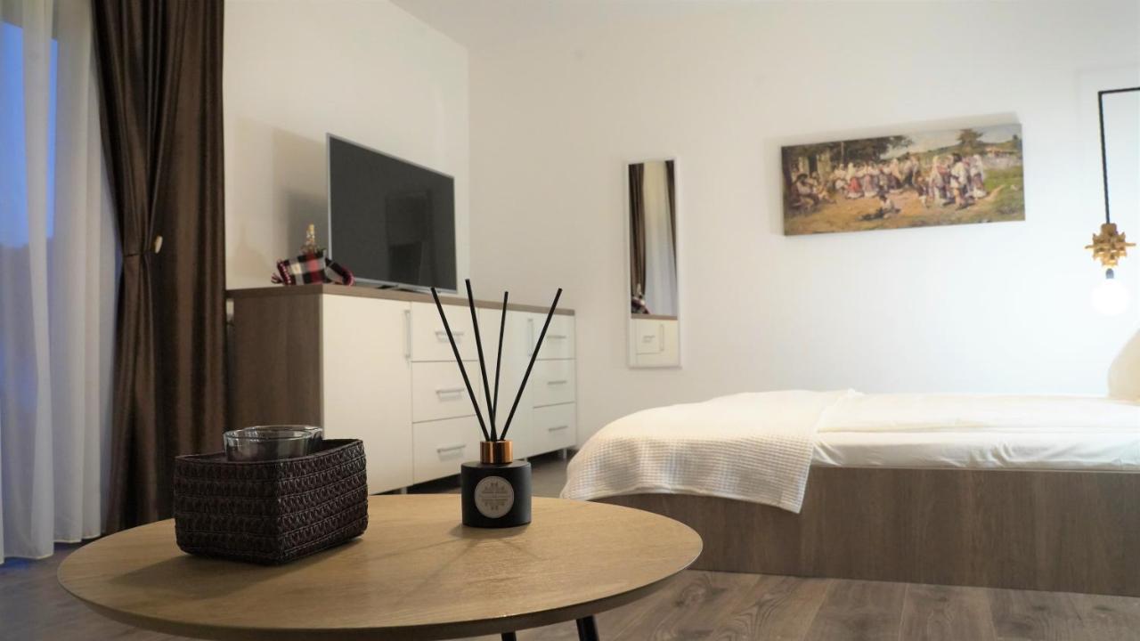 Pensiunea Maramures Guesthouse Вишово-Нижнє Екстер'єр фото