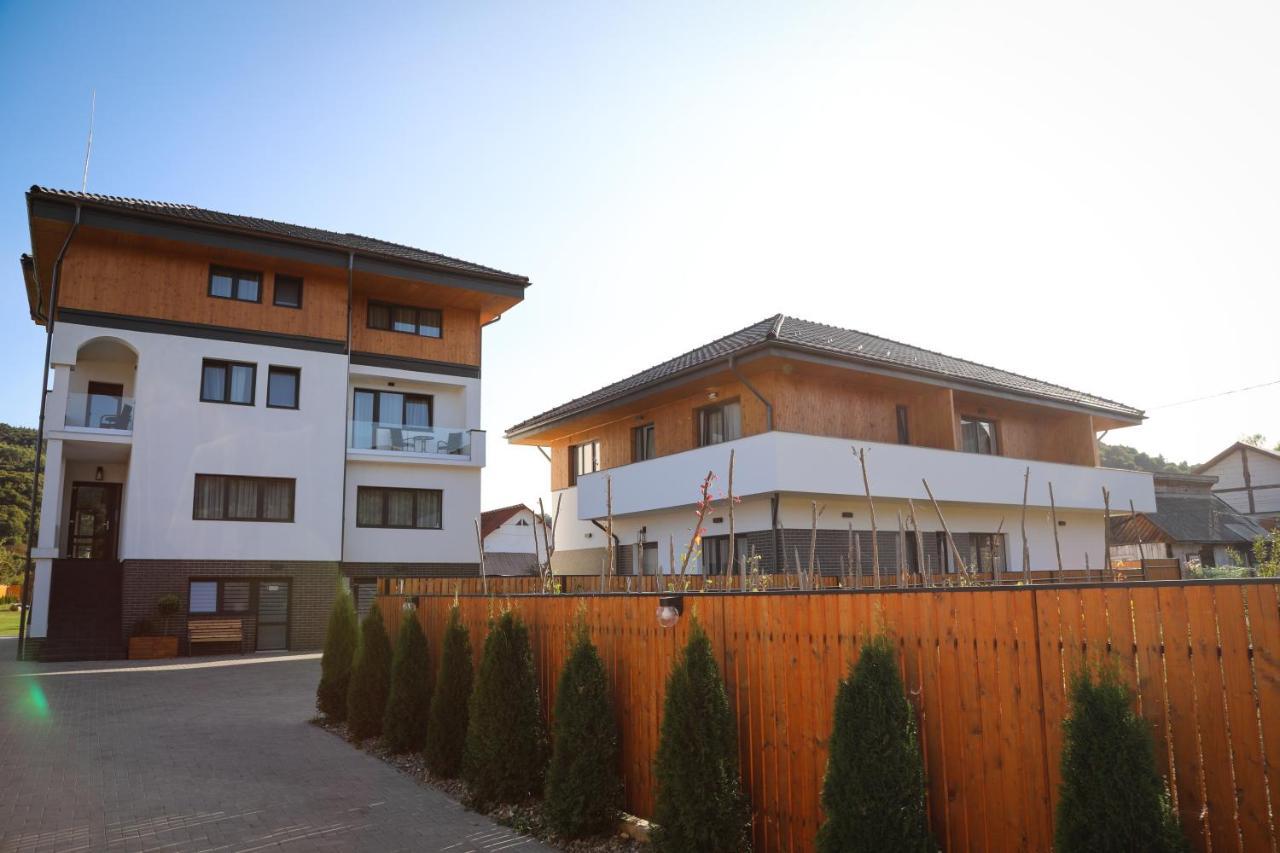 Pensiunea Maramures Guesthouse Вишово-Нижнє Екстер'єр фото