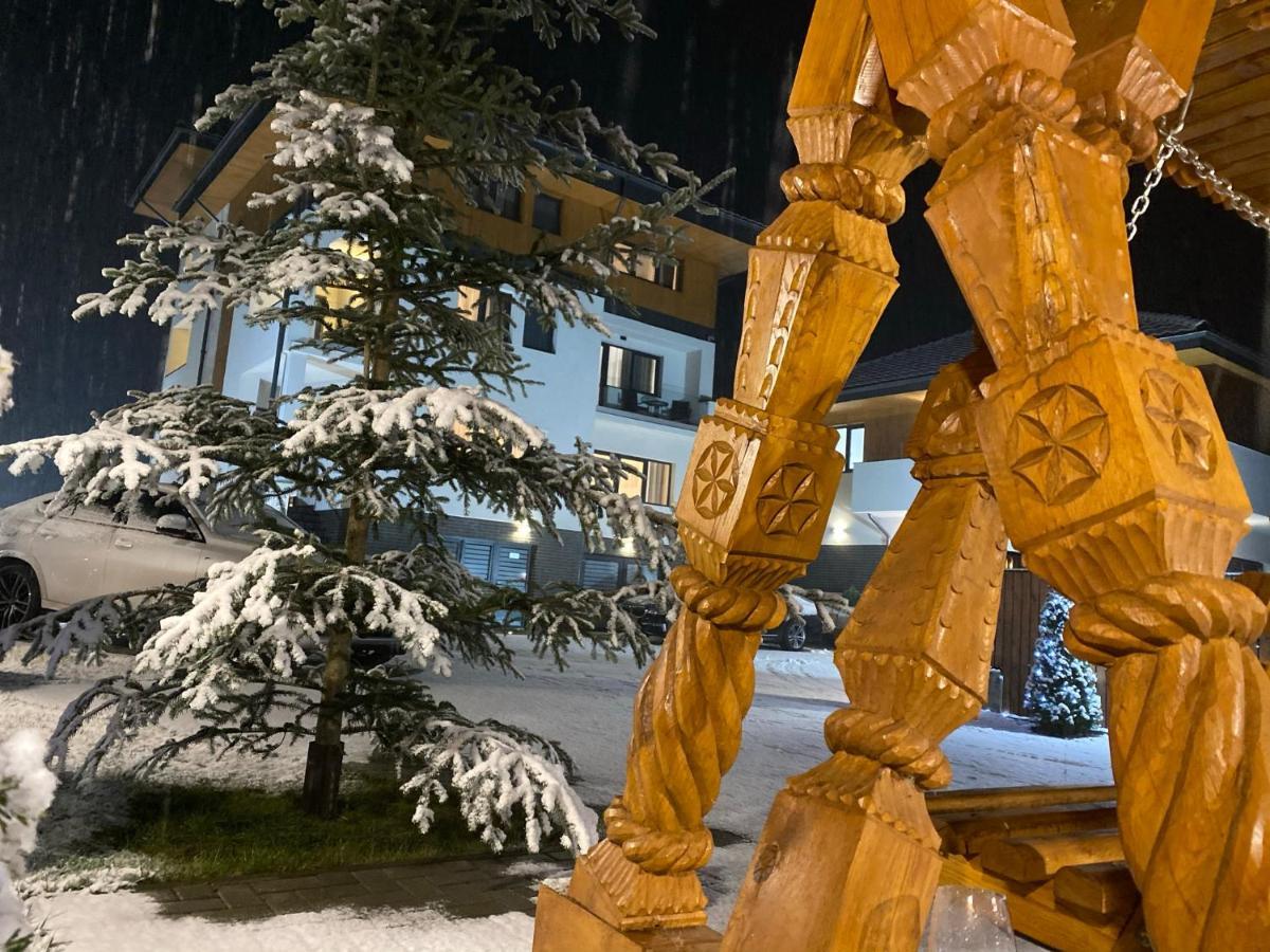 Pensiunea Maramures Guesthouse Вишово-Нижнє Екстер'єр фото