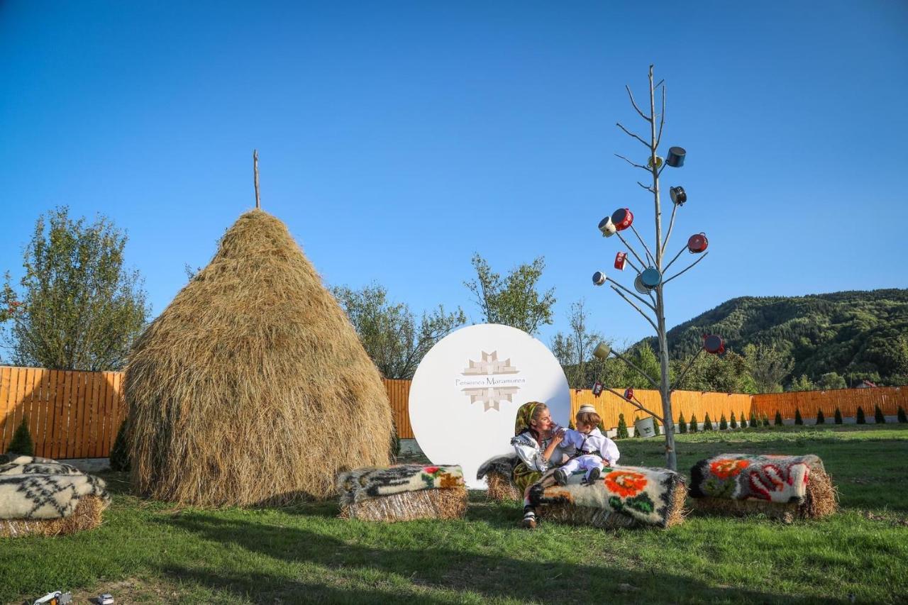 Pensiunea Maramures Guesthouse Вишово-Нижнє Екстер'єр фото