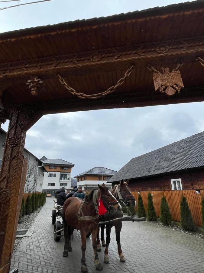 Pensiunea Maramures Guesthouse Вишово-Нижнє Екстер'єр фото