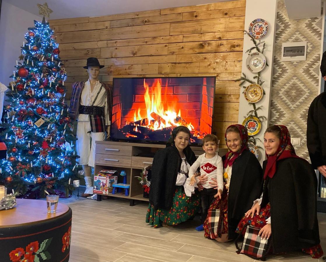 Pensiunea Maramures Guesthouse Вишово-Нижнє Екстер'єр фото