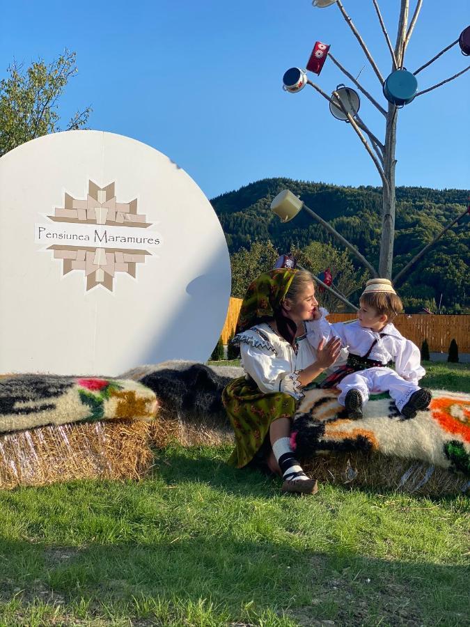 Pensiunea Maramures Guesthouse Вишово-Нижнє Екстер'єр фото