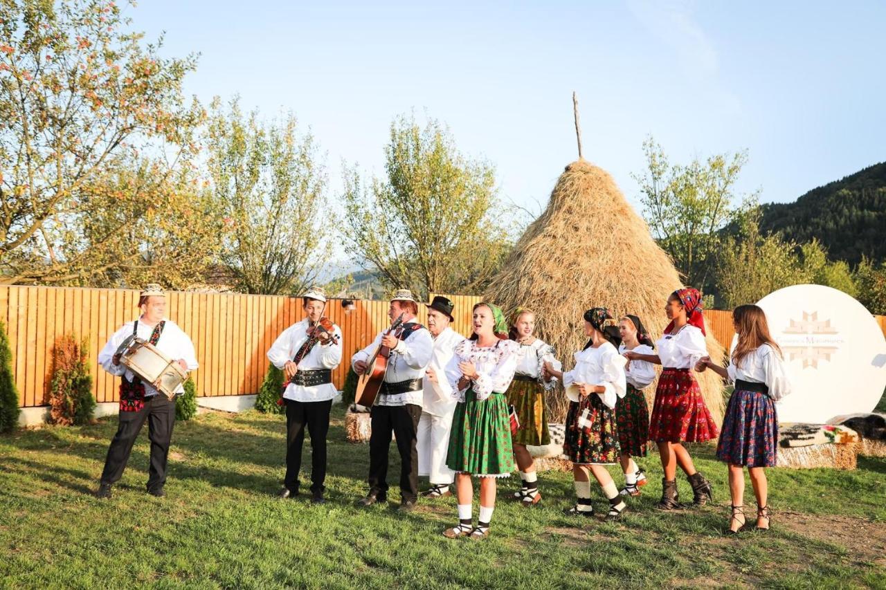 Pensiunea Maramures Guesthouse Вишово-Нижнє Екстер'єр фото
