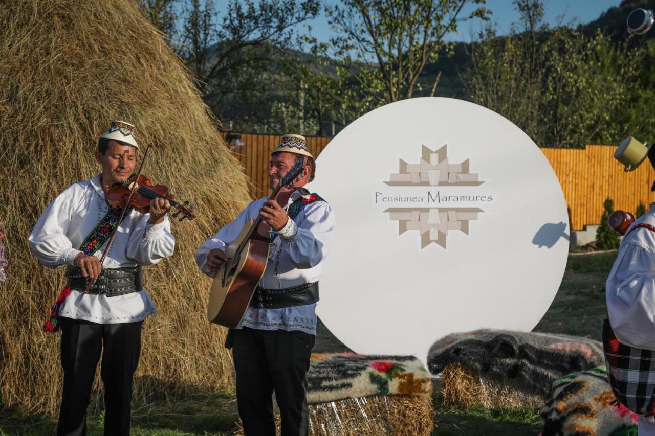 Pensiunea Maramures Guesthouse Вишово-Нижнє Екстер'єр фото