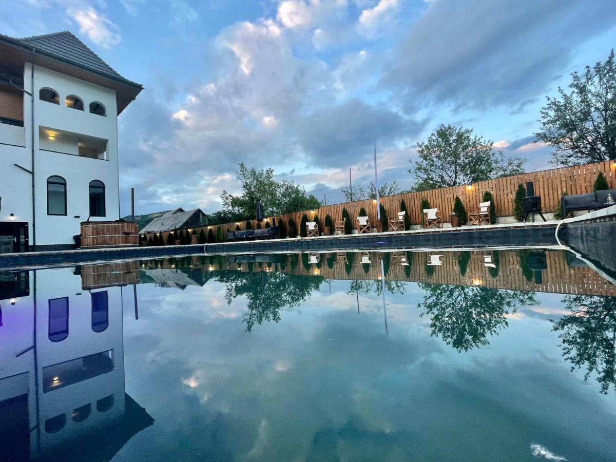 Pensiunea Maramures Guesthouse Вишово-Нижнє Екстер'єр фото